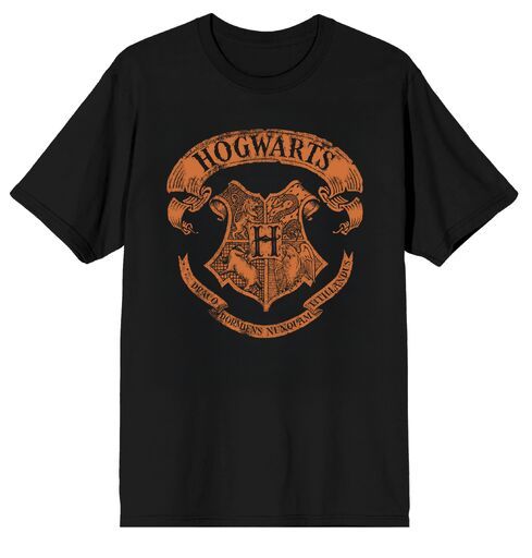 HARRY POTTER - Hogwarts Heritage Photo Adult Black Tee