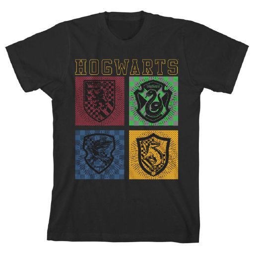 HARRY POTTER- Hogwarts 4 Houses Youth on Black Tee