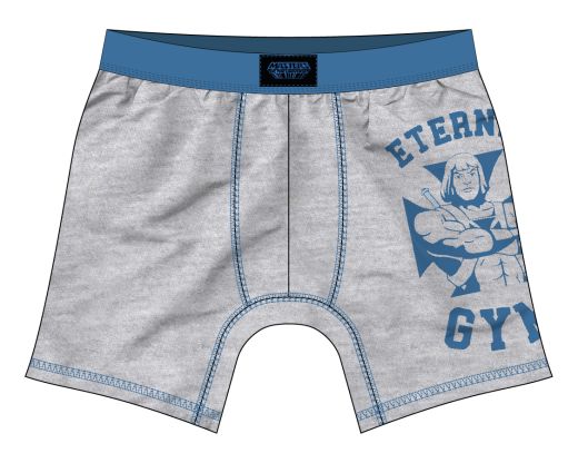MASTERS OF THE UNIVERSE - M Eternia Men's Grey Gym Boxer Briefs